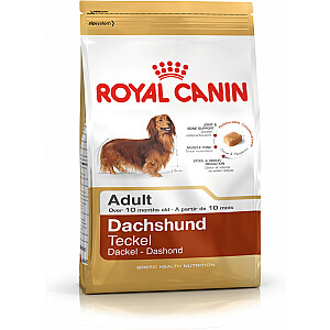 Royal Canin Taksas Suaugęs 1,5 kg