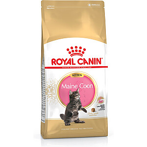 Sausas maistas Royal Canin Maine Coon Kitten katėms Paukštiena, Ryžiai 400 g