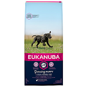 Eukanuba augantis šuniukas didelės veislės 15 kg