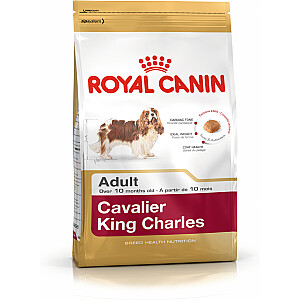 Royal Canin Cavalier King Charles Suaugęs 1,5 kg