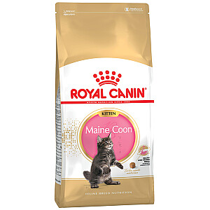 Sausas maistas Royal Canin Maine Coon Kitten katėms 2 kg Paukštiena