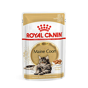 Royal Canin FBN Maine Coon - Влажный корм для кошек - 12x 85г