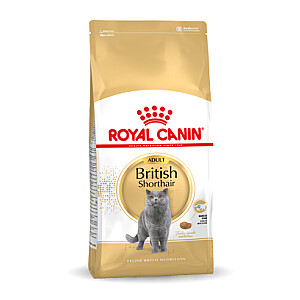 Royal Canin British Shorthair Adult sausas maistas katėms 4 kg