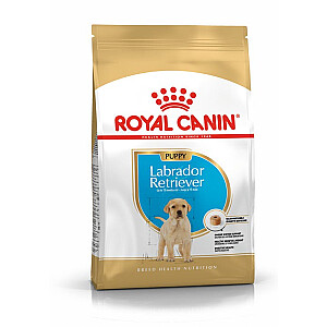 Royal Canin Labradoro retriverio šuniukas 3 kg