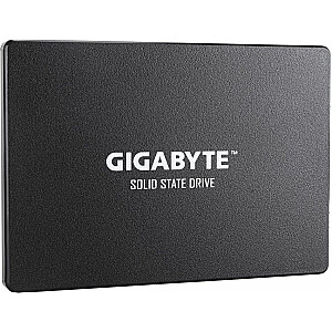 Gigabaitas 256 GB 2,5 colio SATA III SSD (GP-GSTFS31256GTND)