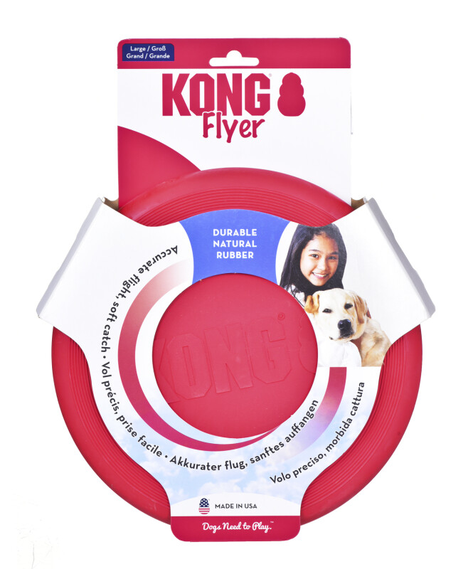 kong frisbee