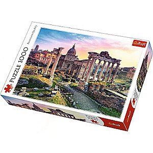 TREFL Puzzle 1000 Roma forumas