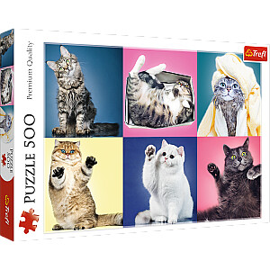 TREFL Puzzle Kittens, 500 шт.