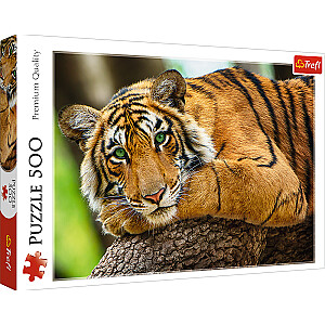 TREFL dėlionės tigras, 500 USD.