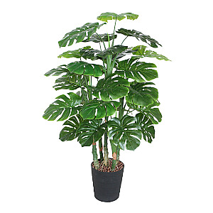 Dirbtinis medis MONSTERA, A120cm, su 5 kamienais