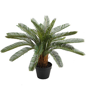 Dirbtinis Taim CYCAS H70cm