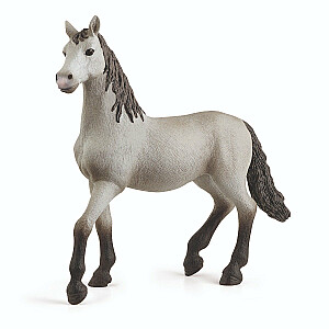 SCHLEICH HORSE CLUB 'Pura Raza Española' молодая лошадь