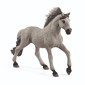 SCHLEICH FARM WORLD Soray Mustang eržilas