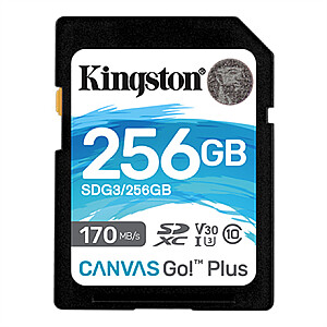 Kingston Canvas Go! Plius 256 GB, SD, Flash atmintis 10 klasė