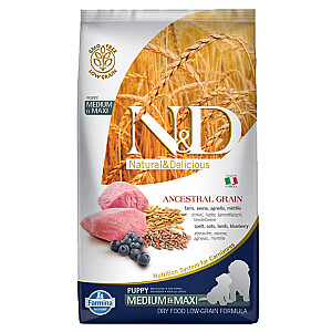 FARMINA N&D ANCESTRAL GRAIN DOG MEDIUM & MAXI 12 kg