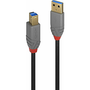Lindy USB-A į USB-B USB laidas 1 m juodas (36741)