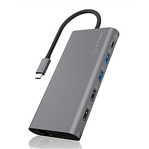 Raidsonic 12-in-1 USB Type-C dokas su PD 100W BOX IB-DK4050-CPD 2xUSB 3.0 Type-A, 2xUSB 2.0 Type-A, 1xUSB 3.0 Type-C, 1xLAN RJ45, 2xHDMI, 1xDisplay