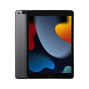 Apple iPad 4G LTE 256 GB 25,9 cm (10,2 colio) Wi-Fi 5 (802.11ac) iPadOS 15 Gray