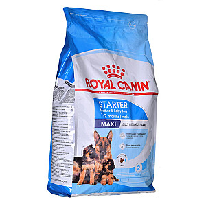 Royal Canin SHN Maxi Starter M&B 4kg