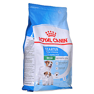 ROYAL CANIN SHN Mini Starter Mother & Babydog - сухой корм для собак - 4 кг