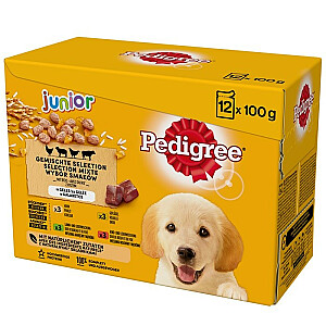 PEDIGREE Junior šunų maisto pakeliai želė 12X100g