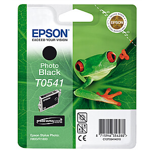 Epson Ultra Chrome Hi-Gloss T0541 rašalas, juodas
