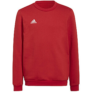 Adidas Entrada 22 Sweat Top raudonas H57473 (116cm)