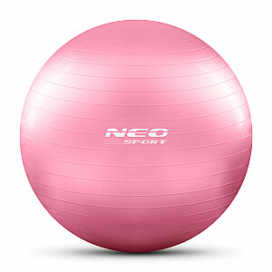 Fitball 55 cm NS-950 rožinė