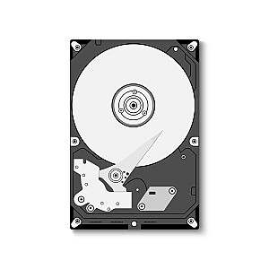 Kietieji diskai (HDD)