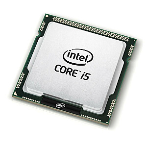 RENEW procesoriai (CPU)