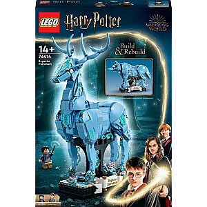 LEGO Haris Poteris laukia globėjo (76414)