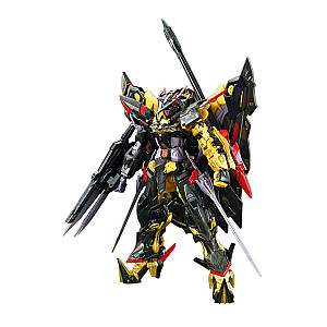 RG 1/144 GUNDAM ASTRAY GOLD RĖMAS AMATSUMINA