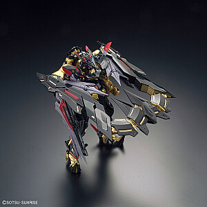 RG 1/144 GUNDAM ASTRAY GOLD RĖMAS AMATSUMINA