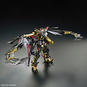 RG 1/144 GUNDAM ASTRAY GOLD RĖMAS AMATSUMINA