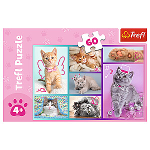 TREFL Пазл Котята, 60 шт.