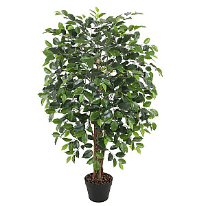 Dirbtinis medis FICUS H120cm, juodas vazonas
