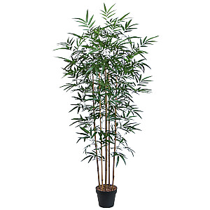 Dirbtinis medis BAMBUKAS H150cm, juodas vazonas
