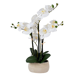 Balta orchidėja su 4 šakomis SODE, A55cm, pilkas vazonas