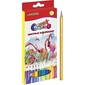 *Spalvoti pieštukai deVENTE Cosmo, 24 vnt, spalvų asorti