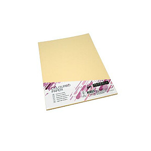 Cardboard College A4/20l, 160g/m2, lašišos rožinė, SA24