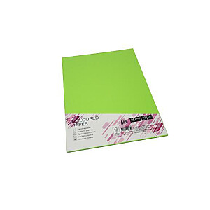 Kartono spalva College, A4 20 lapų, 160g/m2, žalia, LG46