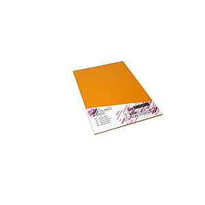 Kartono spalva College A4 20 lapų, 160g/m2, oranžinė, MO15