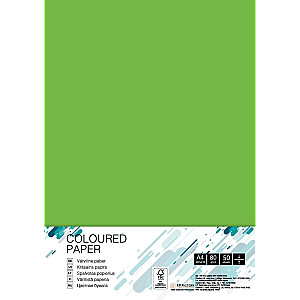 Spalvotas popierius College, A4, 80g, MA42, žolės žalias, 50 lapų