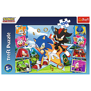 TREFL SONIC Dėlionė „Sonic“, 100 det.