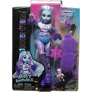Įrenginys Mattel Monster High Abbey Bominable Basic HNF64