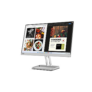 Lenovo L24i-40 LED ekranas 60,5 cm (23,8 colio), 1920 x 1080 pikselių, Full HD, pilkas