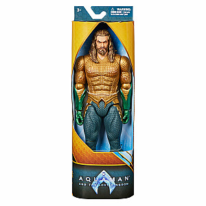 AQUAMAN 12" figūrėlė Solid Aquaman, 6065754
