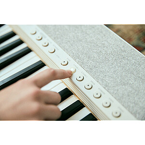 Цифровой синтезатор Casio CT-S1 61 Белый