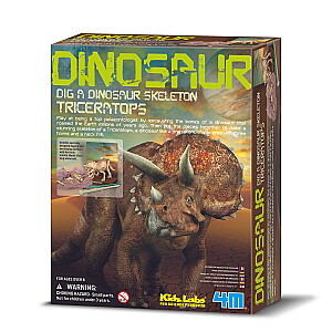 4M paskelbimas „Triceratop“