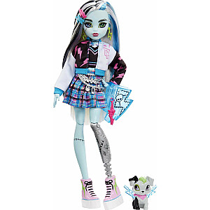 Mattel Monster High Фрэнки Штейн HHK53